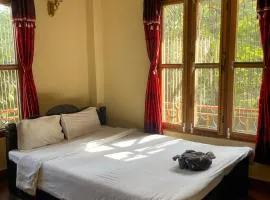 Tara guesthouse - Sauraha,Chitwan