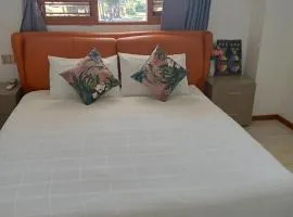 Alice Nadi 爱丽丝公寓
