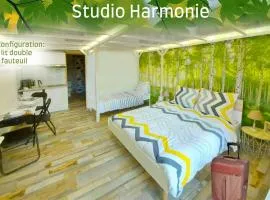 Joli studio avec terrasse, 2km A79, 6km le Pal