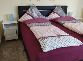 Ferienwohnung Saarwiesen，梅爾齊希的飯店