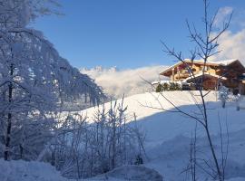 Griesbachhof-Wilder Kaiser, hotel v destinaci Oberndorf in Tirol
