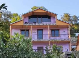 Violet guest house