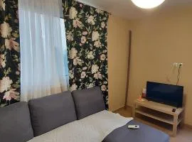 Airport Friendly House 3