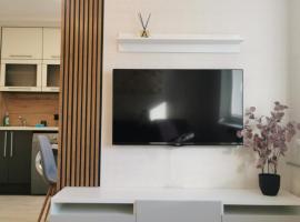 SK apartament – hotel w mieście Płungiany