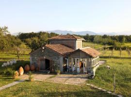 Mshvenieradze Winery, hotel v destinaci Svetmagali