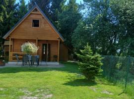 Domki letniskowe BIAŁE MEWY，位于斯蒂格纳的酒店