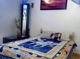 Portal Quetzal