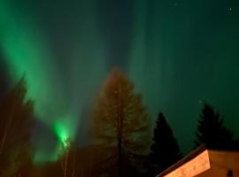 Kaamos City House, accessible hotel in Rovaniemi