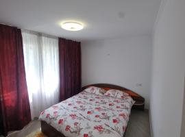 Cavnic Residence 1, hotel in Cavnic