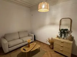 T1 Bis au centre historique