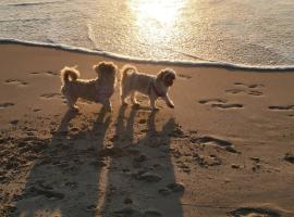 Sandy Nose Sandy Toes, ξενοδοχείο σε Corolla