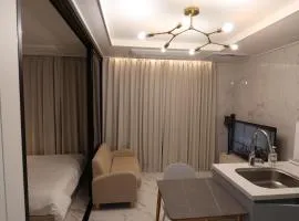 City Hall,Central Seoul apartment