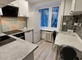 Comfortable 2-room apartment