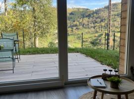Appartement calme La Bresse animaux admis, khách sạn ở La Bresse