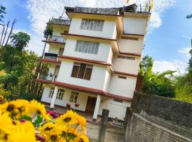 Tenzing Hillary Pinasha Homestay