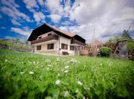 Farm Stay Žagar