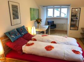 Guest room Zollikon Zürich