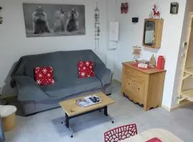 superbe appart cosy T2, la clairière du lac, rez de jardin, terrasse fermée