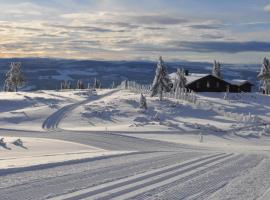 Løstegård Hytter, hotel v mestu Gol