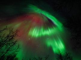 Egen modern mysig l&auml;genhet, hotel econ&oacute;mico en Kiruna