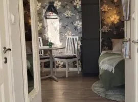 Mysig 1a med Minispa 20 min från Kinnekulle - minst 2 nätter