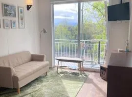 Apartamento Vista Bosque y Cordillera