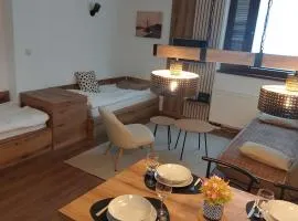 Apartman 109 Vila Nikola