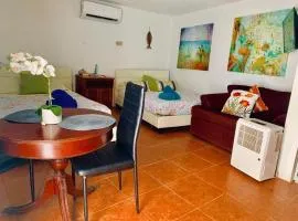 Ventana Va101 at Arecibo 681 Ocean Drive