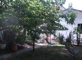 Toulousaine arbor&eacute;e - parking public