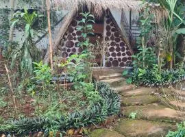 Backpacker Hostel and Jungle Trekking