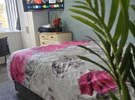 A cosy room with a king-sized bed & Netflix TV