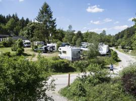 Harfenmühle Camping, Hotel in Mörschied