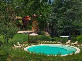 Château de Sienne proche Avignon Orange 7 Chambres Piscine Rivière