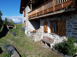 Appartement dans chalet proche de la station de ski La Rosière San Bernardo, hotel in Montvalezan