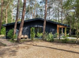 Luxe familiehuis in parkbos, hotel com piscina em Giethmen