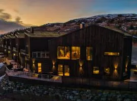 Trilodge - Unique cabin with high standard, views, ski in & out, attractive location