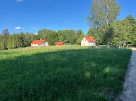 Cichotnia