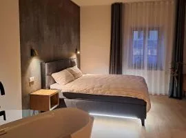 Apartment Stadtmauerloft Gmünd