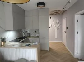 Apartament u Krysi