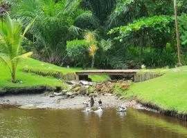 Litoral Norte Jacuípe Guarajuba