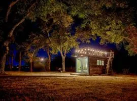 Elegant Container Tiny House Yellow & Blue