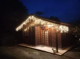 Cabana Family - Na Mata Atlântica