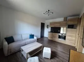 Appartement centre-ville 1