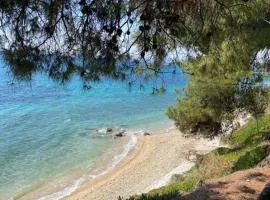 Elia Sithonia Apartment