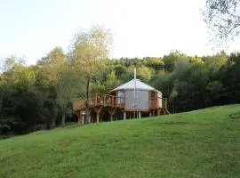 azyl glamp