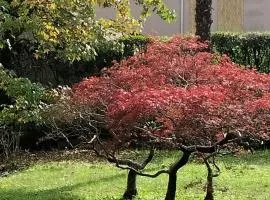 Casa Azalea