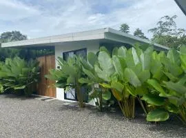 Toucan home