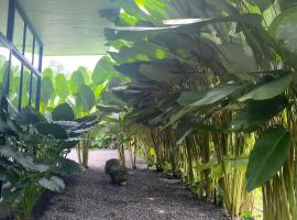 Toucan home, hotel i Fortuna