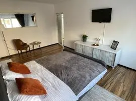 Apartament Husi