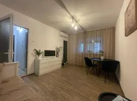 Studio Coanda